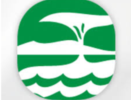 Africa 2000 Network (Kenya) | Environmental Sustainability