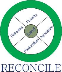 Resource conflict institute | Human Rights & Advocacy