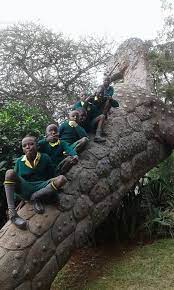 Boy’s essence organization | Youth Empowerment