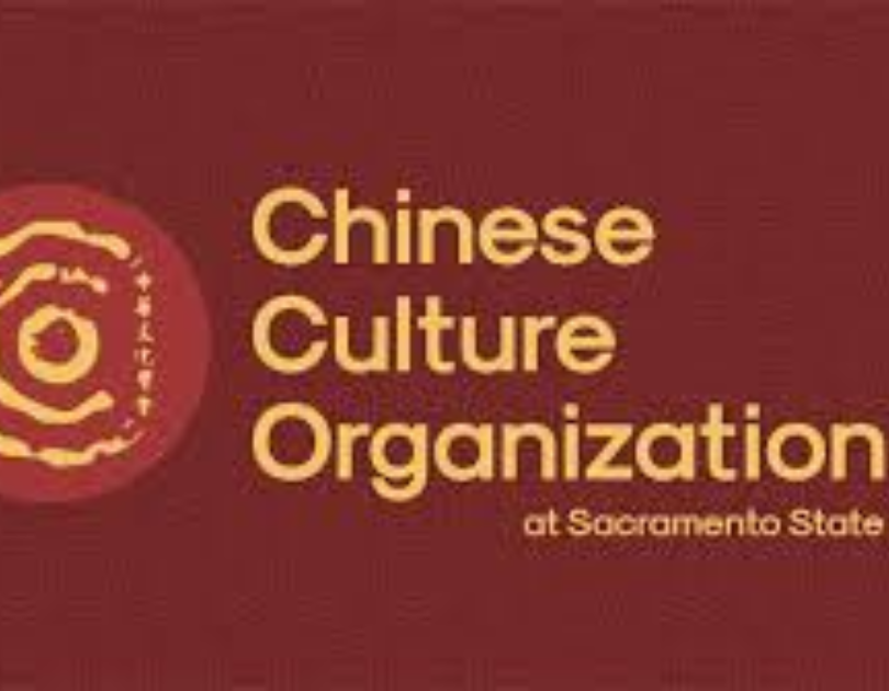 Chinese cultural organization | Youth Empowerment