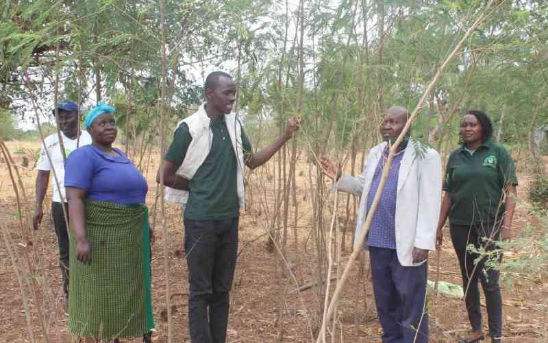 Chyullu initiative for development organization | Environmental Sustainability