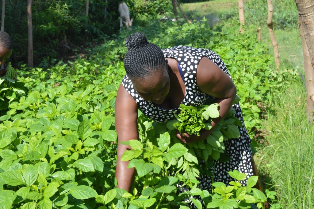 Community environmental rehabilitation and economic empowerment programme | Environmental Sustainability