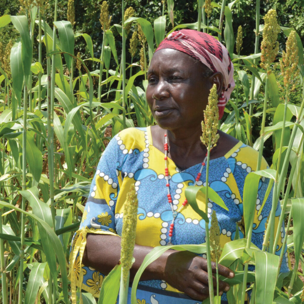 Community environmental rehabilitation and economic empowerment programme | Environmental Sustainability