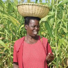 Community environmental rehabilitation and economic empowerment programme | Environmental Sustainability