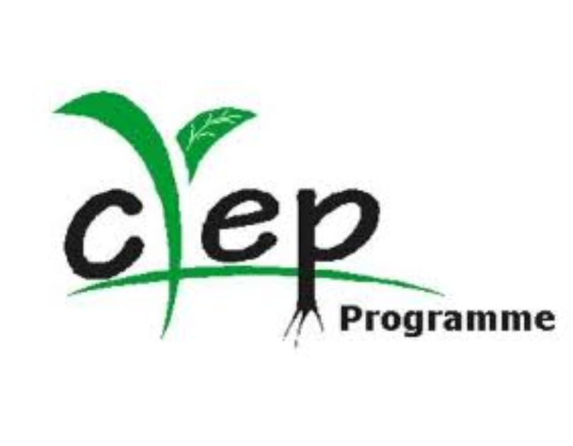 Community environmental rehabilitation and economic empowerment programme | Environmental Sustainability