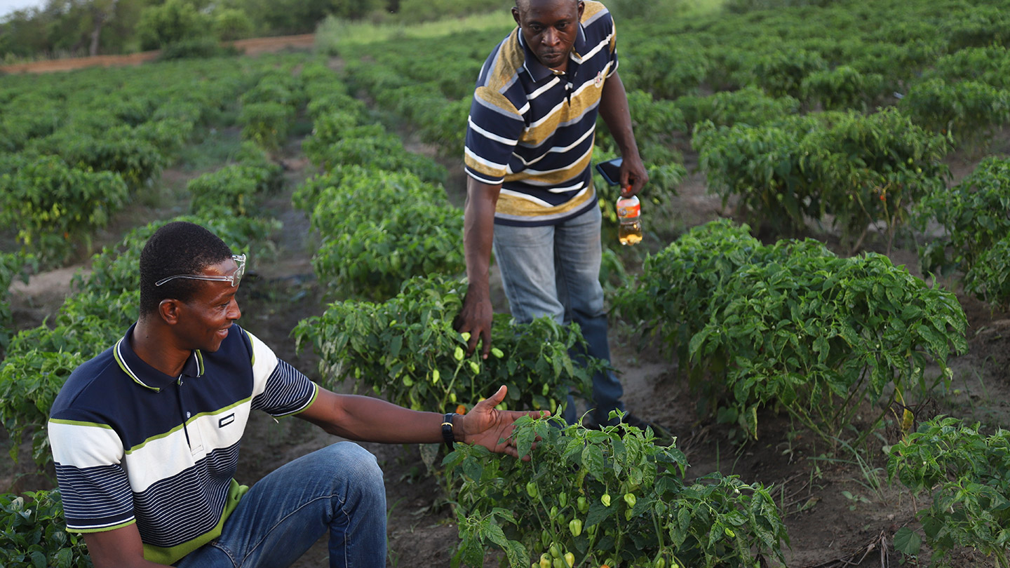Development innovations for rural communities | Human Rights & Advocacy