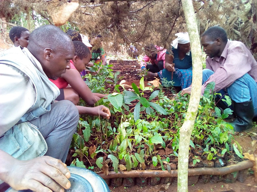 Forests, environment conservation and management | Environmental Sustainability