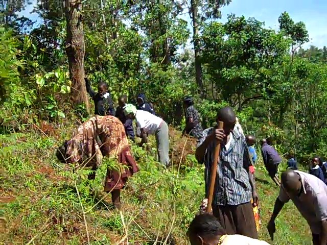 Forests, environment conservation and management | Environmental Sustainability