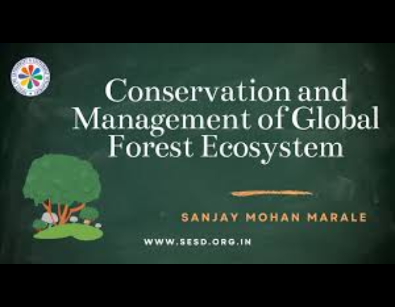 Forests, environment conservation and management | Environmental Sustainability