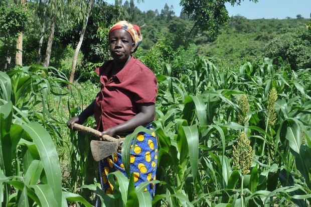 Kenya Rural Trickle up Entreprenuership promotion programme | Poverty Alleviation