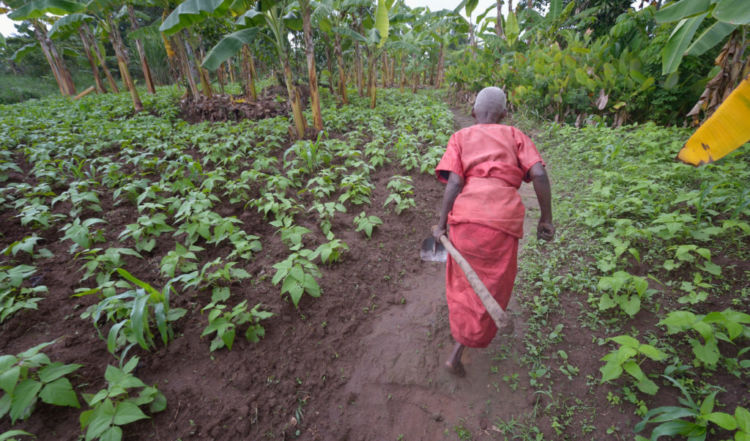 Kenya good samaritan women organization | Human Rights & Advocacy