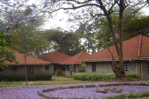 Rafiki Kenia foundation | Education & Training