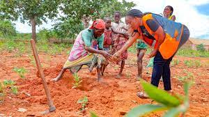 World Vision – Kilifi | Health & Wellbeing