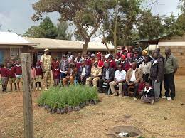 Kiini sustainable initiative | Poverty Alleviation