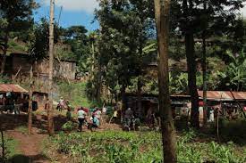 Kiini sustainable initiative | Poverty Alleviation