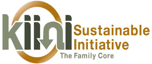 Kiini sustainable initiative | Poverty Alleviation