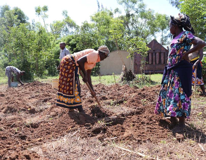 Ember Kenya Grandparents Empowerment Project | Poverty Alleviation