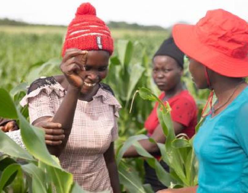 Mandela community development programme | Environmental Sustainability