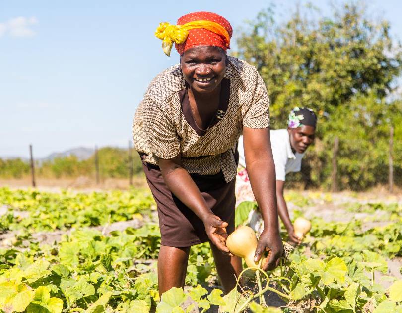 Mandela community development programme | Environmental Sustainability