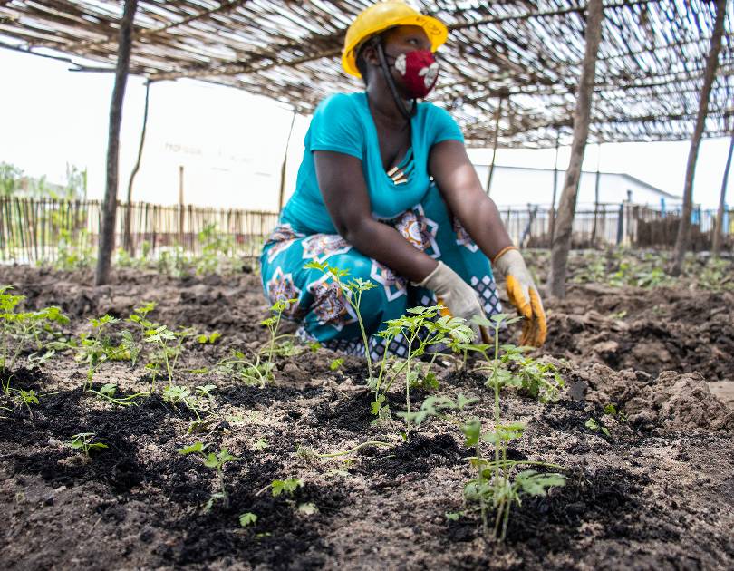 Mandela community development programme | Environmental Sustainability